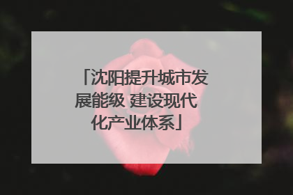 沈阳提升城市发展能级 建设现代化产业体系